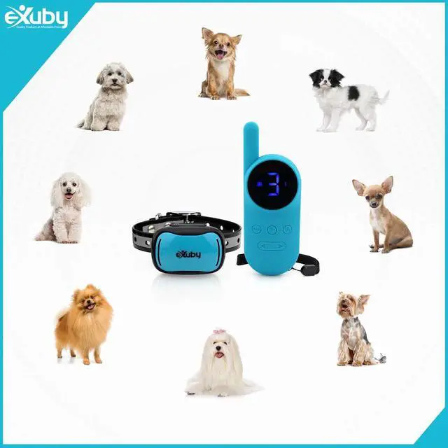 Alt view image 4 of 7 - Tiny Shock Collar for Small Dogs 5-15lbs - Smallest Collar on The Market - Sound, Vibration, & Shock - 9 Intensity Levels - Pocket-Size Remote - Long Battery Life - Water-Resistant (Teal)