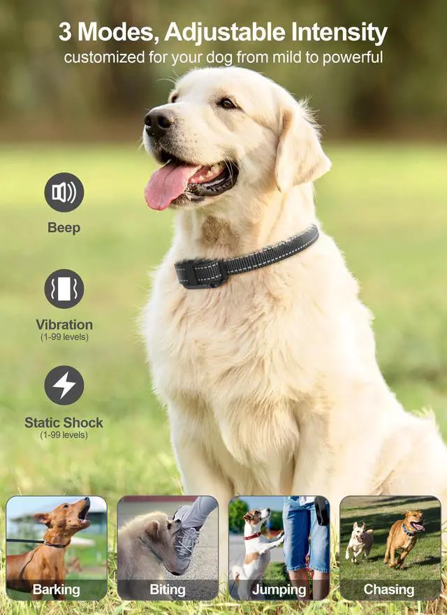 Alt view image 2 of 7 - Dog Training Collar with Remote - 2 Pack Shock Collar for Medium Large Dogs
