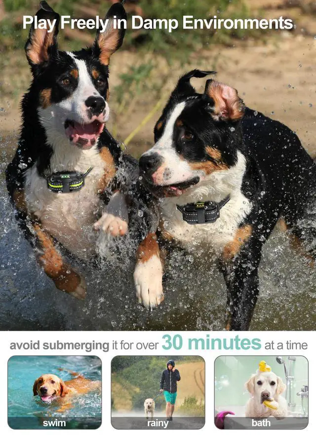 Alt view image 6 of 7 - Dog Training Collar with Remote - 2 Pack Shock Collar for Medium Large Dogs