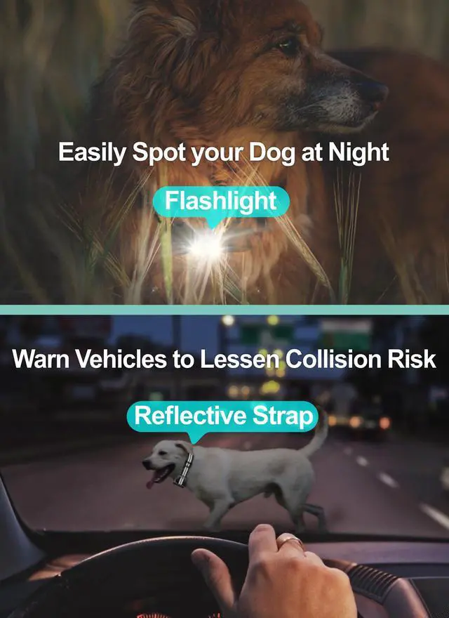 Alt view image 5 of 7 - Dog Training Collar with Remote - 2 Pack Shock Collar for Medium Large Dogs