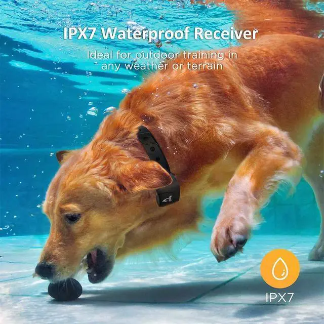 Alt view image 4 of 7 - Dog Training Collar for Large Dogs - IPX7 Waterproof E Collar for Dogs Training with Beep, Vibration and Static Modes