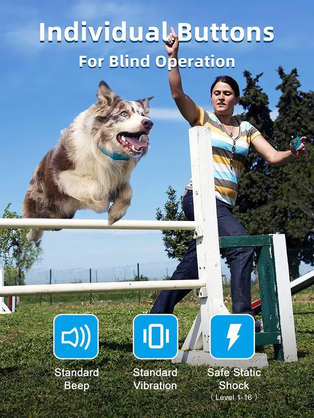 Alt view image 3 of 7 - Dog Training Collar with Remote - 4000ft Waterproof Dog Shock Collars 2 Dogs for Large Medium Small Dogs Rechargeable E Collars for Dogs Training with Beep Vibration Humane Shock(1-16) Mode