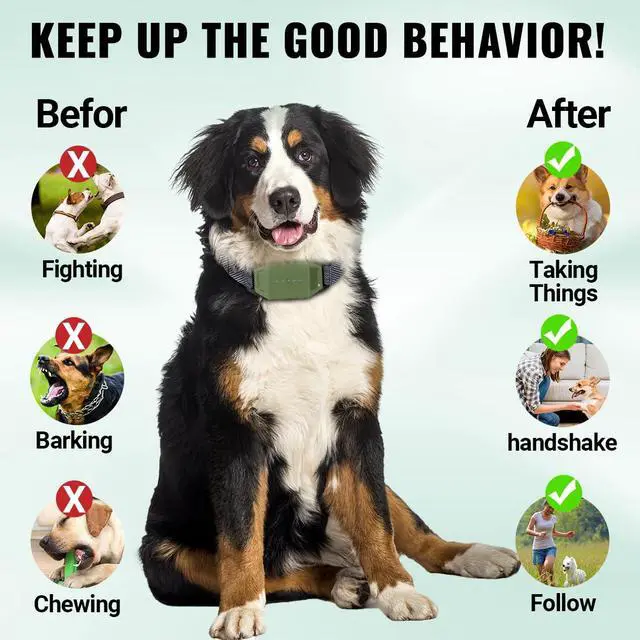 Alt view image 6 of 7 - Shock Collar with Remote Control for Dogs, IP67 Waterproof Collar with Beep, Vibration, Safe Shock, Keypad Lock, Shock Collar for Dogs E-Collars for Large Medium Small Dog (10-120Lbs)