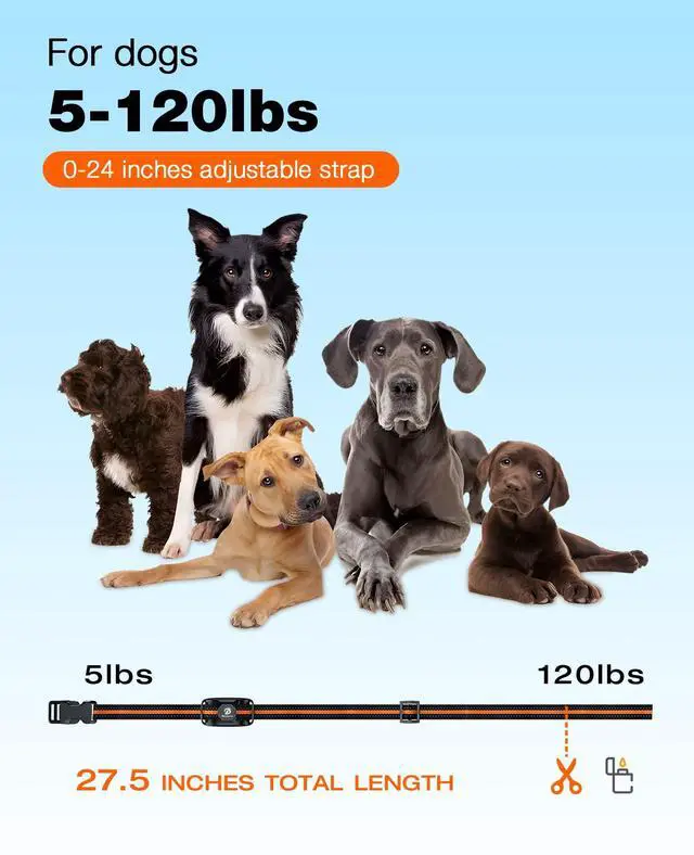 Alt view image 4 of 7 - Dog Shock Collar - 3300Ft Dog Training Collar with Remote for 5-120lbs Small Medium Large Dogs Rechargeable Waterproof e Collar with Beep (1-8), Vibration(1-16), Safe Shock(1-99) (Orange)