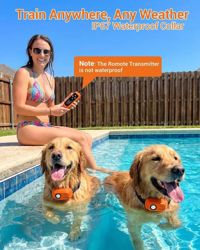 Alt view image 7 of 7 - Dog Shock Training Collar with Remote for Medium Large Dogs