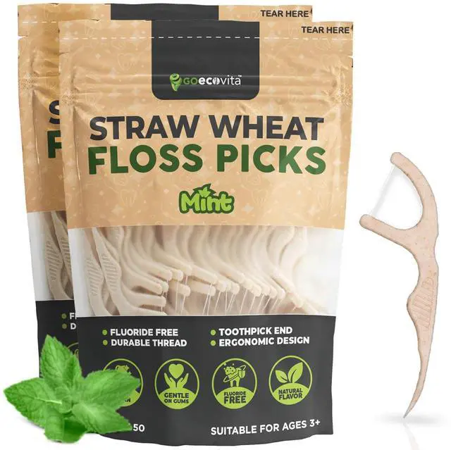 Main image of Dental Floss Picks - Straw Wheat Handle Flossers | Thin & Shred-Resistant Thread for Tight Gaps | Flossers for Adults | Gentle on Gums & Teeth | Gluten-Free & Vegan (100 Pack, Mint)