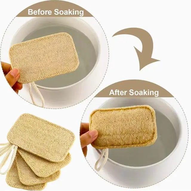 Alt view image 3 of 7 - 8 Pcs Natural Loofah Dishwashing Sponge Loofah Dish Towel Sponges with Hanging Loop for Kitchen Cleaning Dishes Natural Dish Scrubber
