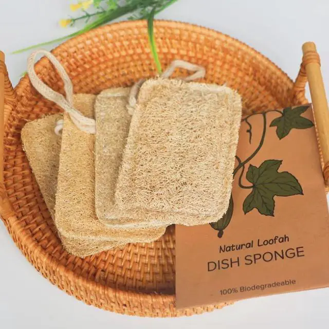 Alt view image 4 of 7 - 8 Pcs Natural Loofah Dishwashing Sponge Loofah Dish Towel Sponges with Hanging Loop for Kitchen Cleaning Dishes Natural Dish Scrubber