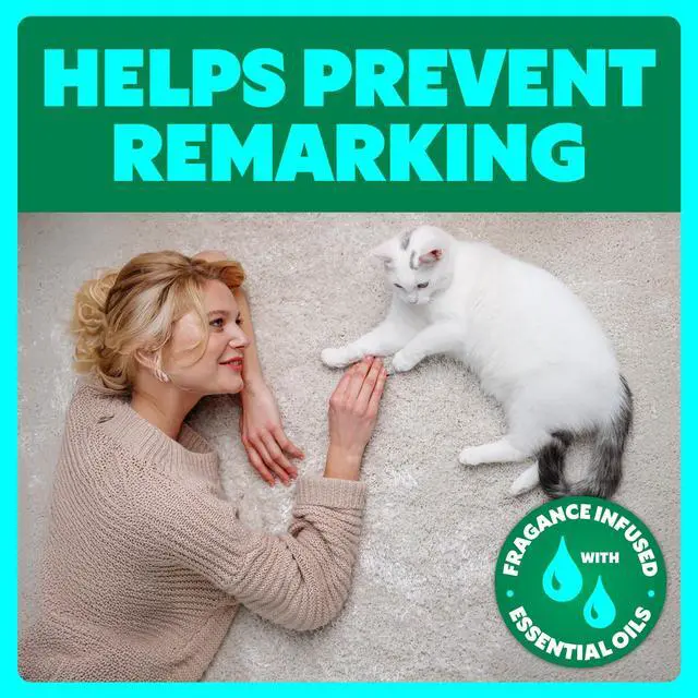 Alt view image 5 of 7 - Pet Stain Remover Spray, Color-Safe Multisurface & Carpet Cleaner Solution for Dog & Cat Urine, Feces, Vomit & Mud, Fights Odors & Remarking, Fast-Acting Cleans in 5 Minutes or Less, 22oz