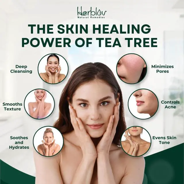Alt view image 2 of 7 - Tea Tree Soap Natural Defense Tea Tree Oil Soap Bar for Face & Body Remedy Fights Acne, Skin Irritation, and Prevents Breakouts Deeply Cleansing, Hydrating Cleanser for Calm, Fresh Skin