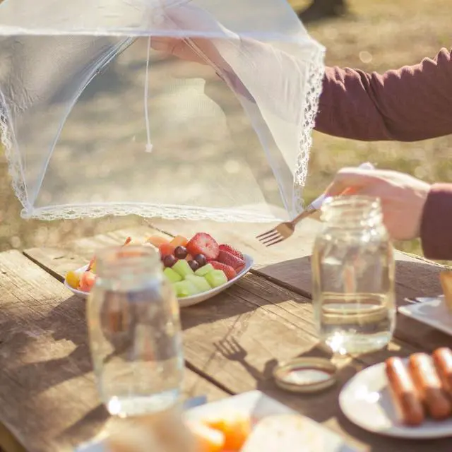 Alt view image 7 of 7 - Food Cover Tent - Pop Up Mesh Screen Net Umbrella Covers Keep Out Flies, Bugs, Mosquitos, Wasps Pefect for Outdoor Picnic, BBQ, Camping, Fruit Dinner Protection, Reusable and Collapsible
