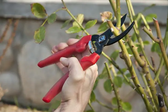 Alt view image 2 of 7 - BP 3214D ComfortGEL Bypass Hand Pruner, 3/4-inch cut , Red