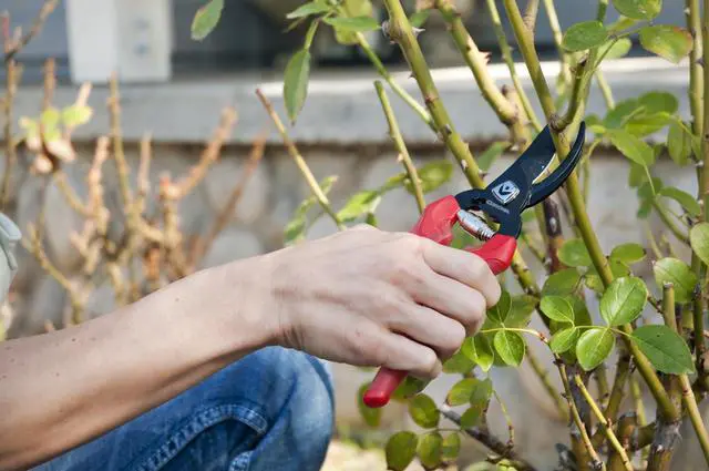 Alt view image 4 of 7 - BP 3214D ComfortGEL Bypass Hand Pruner, 3/4-inch cut , Red