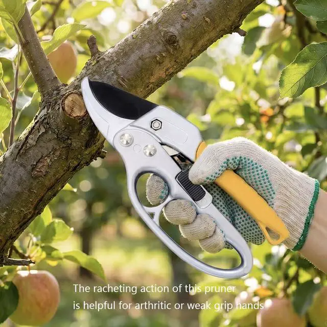 Alt view image 7 of 7 - Pruning Shears,Gardening Tools Scissors,Pruners Heady Duty,Sharp Garden Clippers for Small Gardening,Cuting Fresh Flower, Hedge, Herb,Gardener, Indoor and Outdoor Use