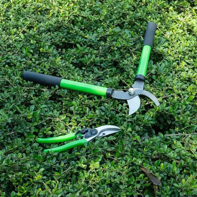 Alt view image 7 of 7 - Pro Pruning Shears - Heavy Duty Garden Shears with SK-5 Steel Blades, Ergonomic Non-Slip Handle Tree Branch Cutter & Flower Arranging Tool