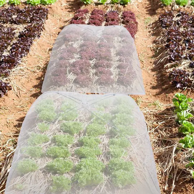 Alt view image 6 of 6 - 4 Pack Mesh Plant Cover Reusable Screen Cloche Dome Plant Protector Tent Collapsible Umbrella for Outdoor Garden Greenhouse Vegetable Flowers Strawberry from Animals(17 x 17 Inch,White)