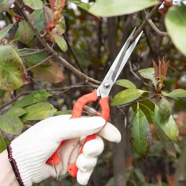 Alt view image 4 of 7 - 2 PACK Multifunctional Thin Fruit Scissors, P-905 Garden Pruner Shears Cutters with Anti-Slip Grip High-Grade Spring Lock Garden Pruner for Garden Fruits Vegetables Plants Flowers