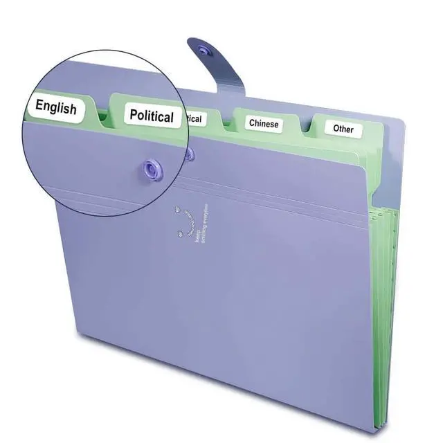 Alt view image 5 of 7 - 6 Pcs Expanding File Folder with 5 Pockets Organizer Plastic A4 Size and 168 Pcs File Folder Labels for School Teacher and Office