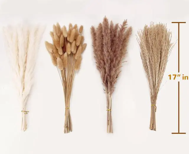 Alt view image 2 of 7 - Dried Pampas Grass Decor, 100 Stems Pampas Grass Contains Bunny Tails Dried Flowers, Reed Grass Bouquet for Wedding Boho Flowers Home Table Decor, Rustic Farmhouse Party (17", White and Brown)