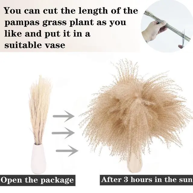Alt view image 5 of 7 - Dried Pampas Grass Decor, 100 Stems Pampas Grass Contains Bunny Tails Dried Flowers, Reed Grass Bouquet for Wedding Boho Flowers Home Table Decor, Rustic Farmhouse Party (17", White and Brown)