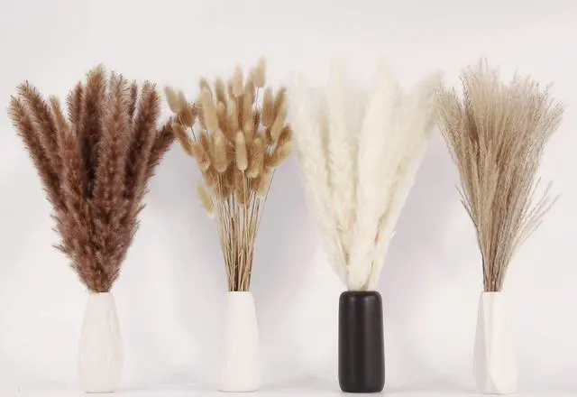 Alt view image 3 of 7 - Dried Pampas Grass Decor, 100 Stems Pampas Grass Contains Bunny Tails Dried Flowers, Reed Grass Bouquet for Wedding Boho Flowers Home Table Decor, Rustic Farmhouse Party (17", White and Brown)