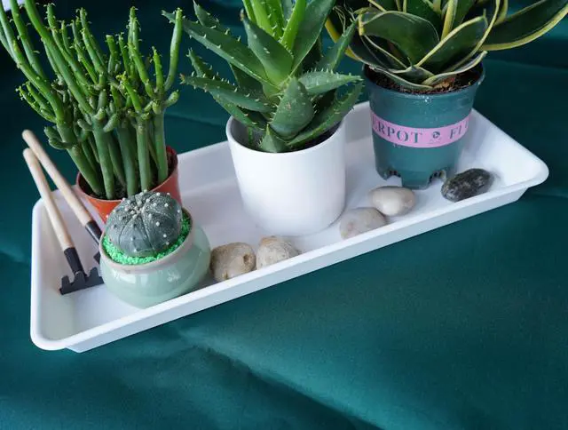 Alt view image 3 of 7 - 2 Pack Plastic Plant Saucer, Rectangular, Indoors Outdoor, Water Drip Tray for Planter, Windowsill (6 X 11 Inch, Creamy White)
