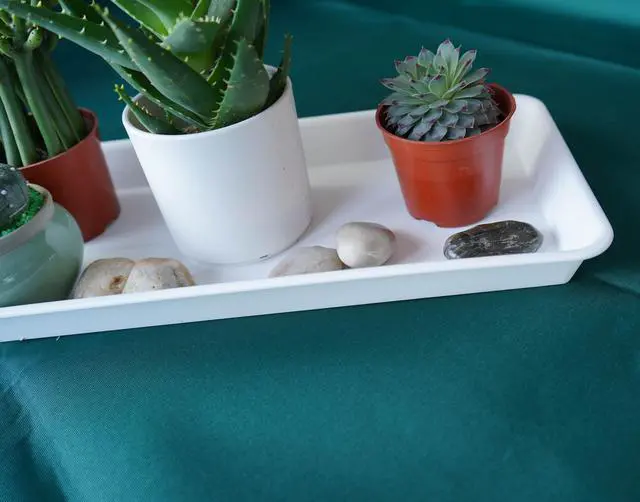 Alt view image 5 of 7 - 2 Pack Plastic Plant Saucer, Rectangular, Indoors Outdoor, Water Drip Tray for Planter, Windowsill (6 X 11 Inch, Creamy White)