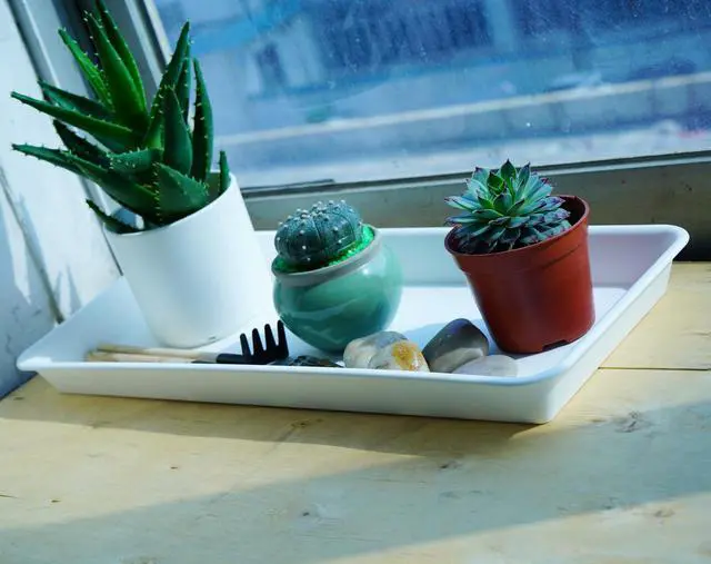 Alt view image 7 of 7 - 2 Pack Plastic Plant Saucer, Rectangular, Indoors Outdoor, Water Drip Tray for Planter, Windowsill (6 X 11 Inch, Creamy White)