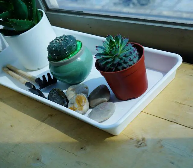 Alt view image 6 of 7 - 2 Pack Plastic Plant Saucer, Rectangular, Indoors Outdoor, Water Drip Tray for Planter, Windowsill (6 X 11 Inch, Creamy White)