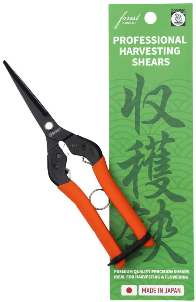 Main image of Professional Japanese Harvesting Shears, Straight Precision Blade, Black Fluorine-Coated Stainless Steel, Spring-Loaded, Shock-Absorbing Grip, Safety Lock, Made in Japan