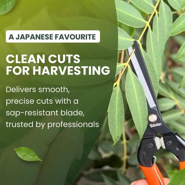 Alt view image 3 of 7 - Professional Japanese Harvesting Shears, Straight Precision Blade, Black Fluorine-Coated Stainless Steel, Spring-Loaded, Shock-Absorbing Grip, Safety Lock, Made in Japan