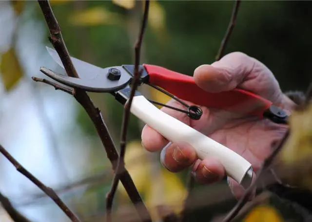 Alt view image 2 of 7 - 103 Bypass Pruners General Purpose Medium (One Pack)