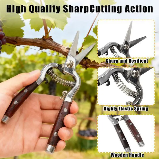 Alt view image 4 of 7 - 2 Pack Garden Pruning Shears for Gardening, Wood Steel Handle Bypass Pruning Shears for Gardening, Curved Straight Garden Shears, Gardening Tools for Plants Flowers Light Branches