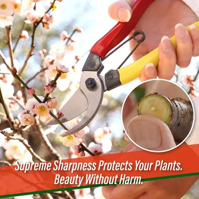 Alt view image 4 of 6 - Bypass Pruning Shears 8 - Professional Japanese Hand Pruners Garden Scissors Gardening Tools