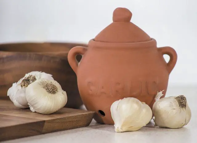 Alt view image 2 of 5 - Garlic Keeper, Terra Cotta, Red, 4.25 x 5.25 x 5.25 inches