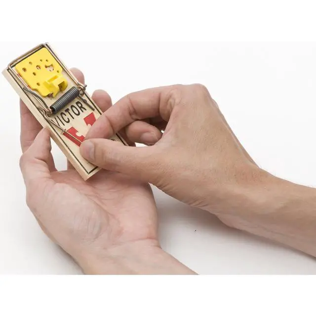 Alt view image 3 of 7 - Easy Set Mouse Trap 4 Pack M033 - Wooden Easy Set Mouse Trap - Prebaited