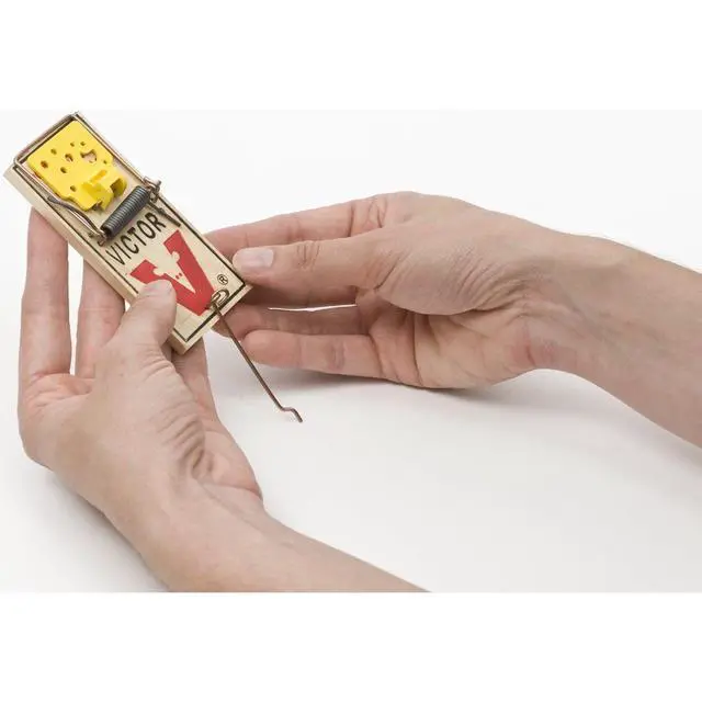 Alt view image 4 of 7 - Easy Set Mouse Trap 4 Pack M033 - Wooden Easy Set Mouse Trap - Prebaited