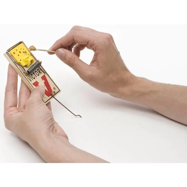 Alt view image 5 of 7 - Easy Set Mouse Trap 4 Pack M033 - Wooden Easy Set Mouse Trap - Prebaited