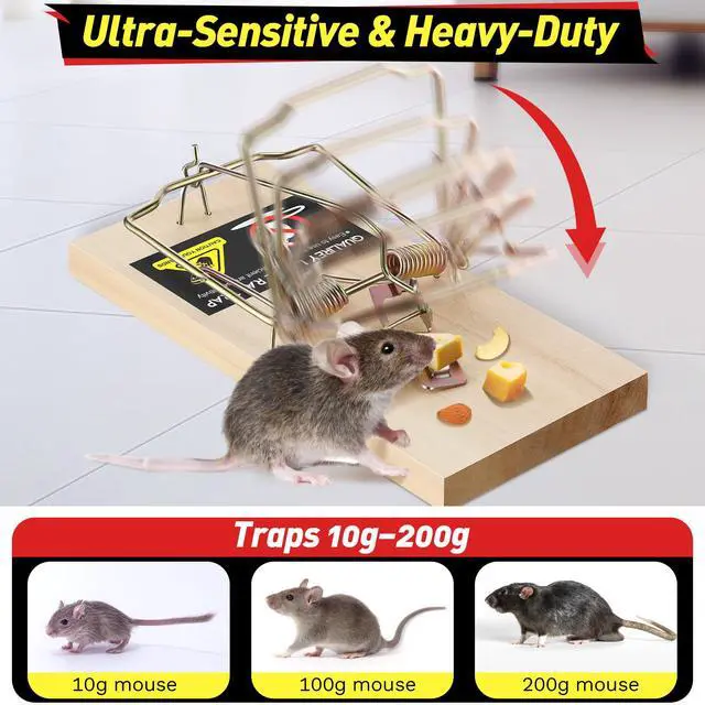 Alt view image 3 of 7 - Large Rat Traps, Reusable Wooden Mouse Traps with Heavy Duty Double Spring, Sturdy Wood Base, Trampa para Ratas Trap for Rats, Mice & Rodents, Indoor & Outdoor Use