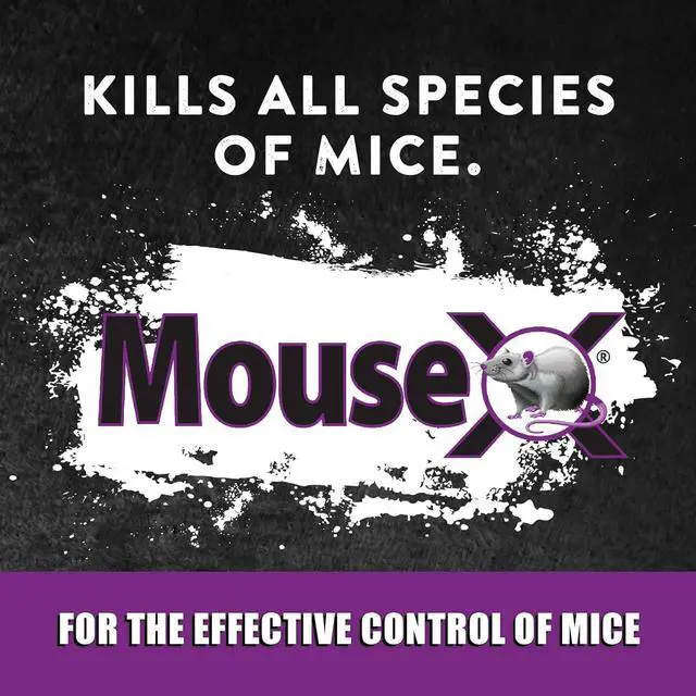 Alt view image 3 of 7 - Throw Packs- for All Species of Rats Mice Safe Around Pets- Pack of 2