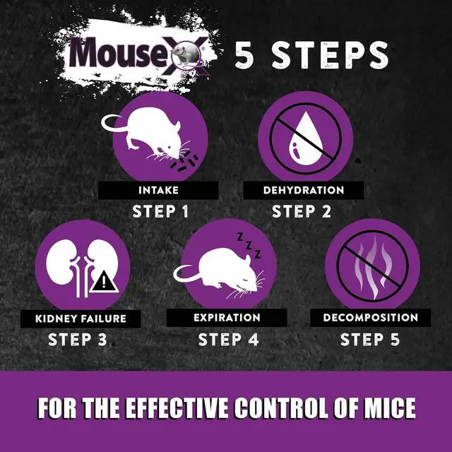 Alt view image 7 of 7 - Throw Packs- for All Species of Rats Mice Safe Around Pets- Pack of 2