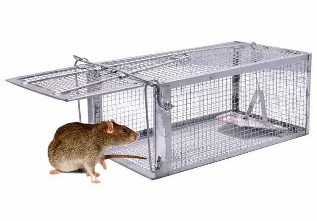 Main image of Humane Live Animal Mouse Cage Traps, Catch and Release Mice, Rats,Chipmunk, Pests, Rodents and Similar Sized Pests for Indoor and Outdoor, 10.6 X 5.63 X 4.33 Inches, One-Door