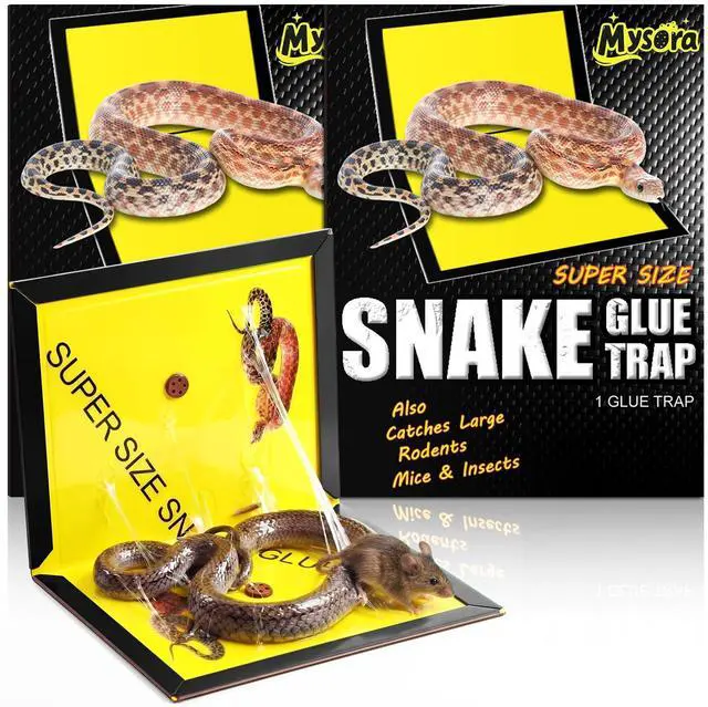 Main image of Large Snake Glue Traps, Mice Rat Traps Glue Board