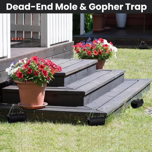 Alt view image 6 of 6 - Black Hole Gopher Trap 6.7 Inch Tunnel Mole Traps Gopher Killer Outdoor Vole Traps Rodent Rat Stations Reusable for Lawn Yard Garden