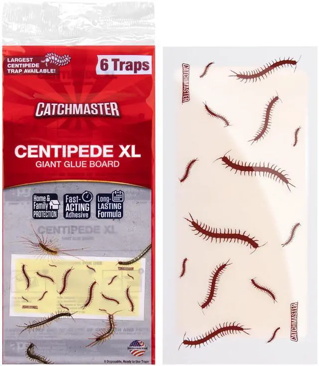 Main image of Adhesive Bug Catcher, Cricket, Roach, Scorpion & Spider Traps for Home, Centipede Killer, Insect Glue Traps for House & Garage, Pest Control for Home