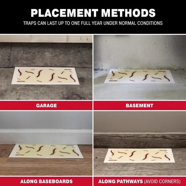 Alt view image 6 of 7 - Adhesive Bug Catcher, Cricket, Roach, Scorpion & Spider Traps for Home, Centipede Killer, Insect Glue Traps for House & Garage, Pest Control for Home