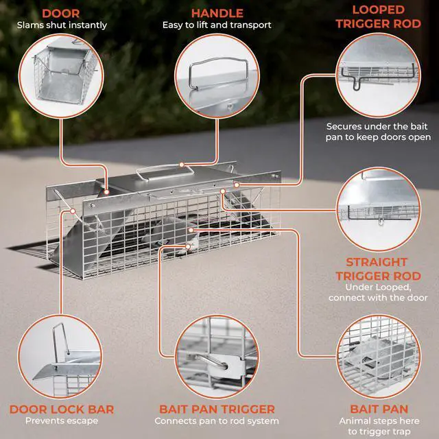 Alt view image 3 of 7 - Live Rat Trap Indoor/Outside - Squirrel Trap, Have A Heart Animal for Chipmunk, Small Rabbits, Weasel and Similar-Size Rodents, 18"x5"x5", 2 Doors, Fully Assembled