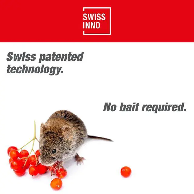 Alt view image 3 of 7 - Gopher & Vole Trap PRO SuperCat Reusable Tunnel Trap with Dual-Trigger System Easy to Set, Made in Europe High Catch Rate - 1 Pcs