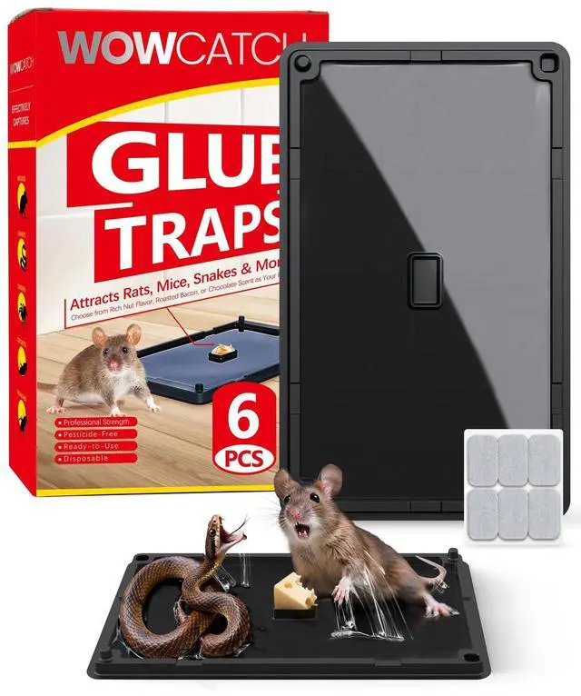 Main image of Snake and Mouse Traps 6 PK, Large Bulk Sticky Glue Traps Indoor for Home Pre-baited, Pet Safe Rodent Catcher for Garage, Kitchen, Catches Roaches, Spiders, Lizard, Non-Toxic, Large
