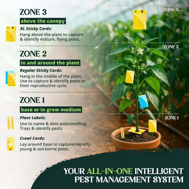 Alt view image 2 of 7 - Yellow Regular Double Sided Sticky Traps 36PK, Adhesive Bug & Fruit Fly Trap, Pest Control for Home, Farm, Garden, Hydroponics & Greenhouse, Protect Live Plants Indoor & Outdoor